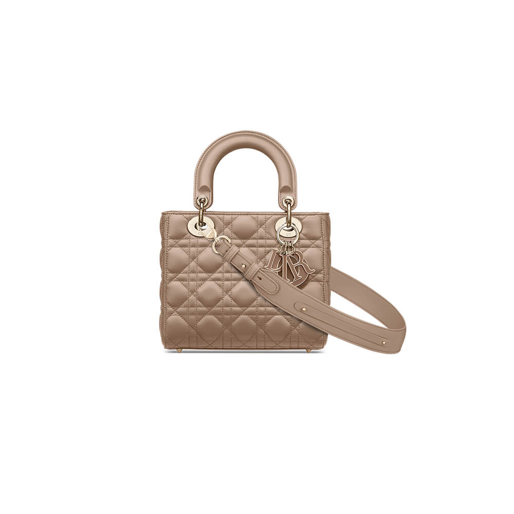 small lady D*or my abcD*or bag