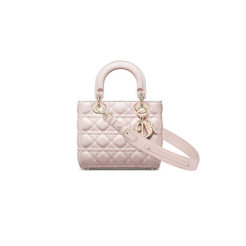 small lady D*or my abcD*or bag