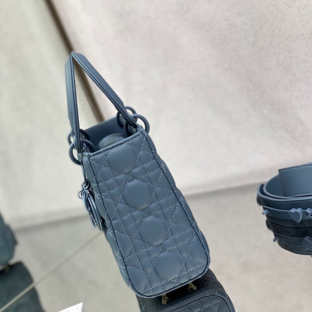 small lady D*or my abcD*or bag