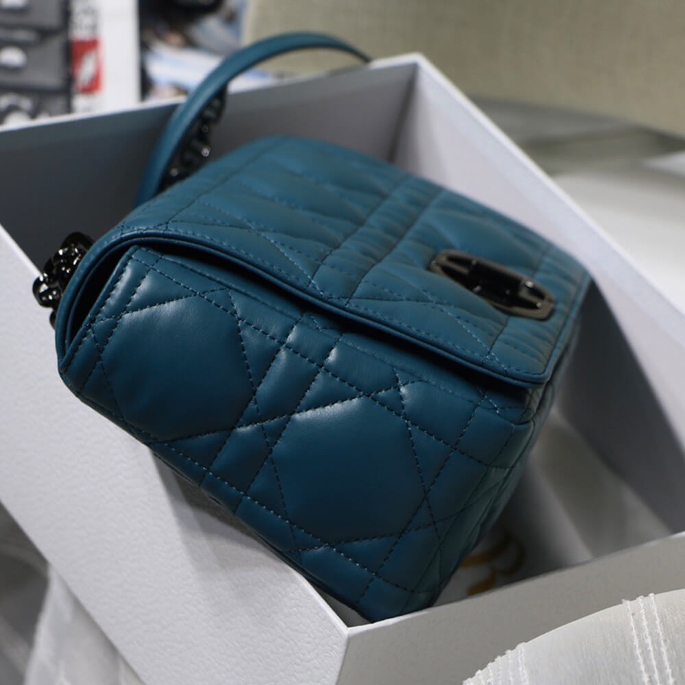 large D*or caro bag