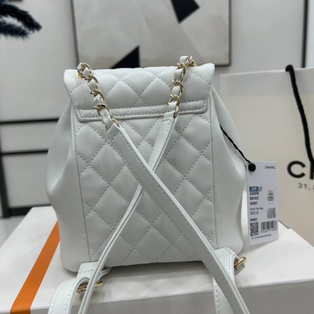 Ch*el 22a mini duma backpack