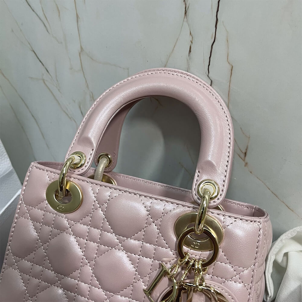 small lady D*or my abcD*or bag