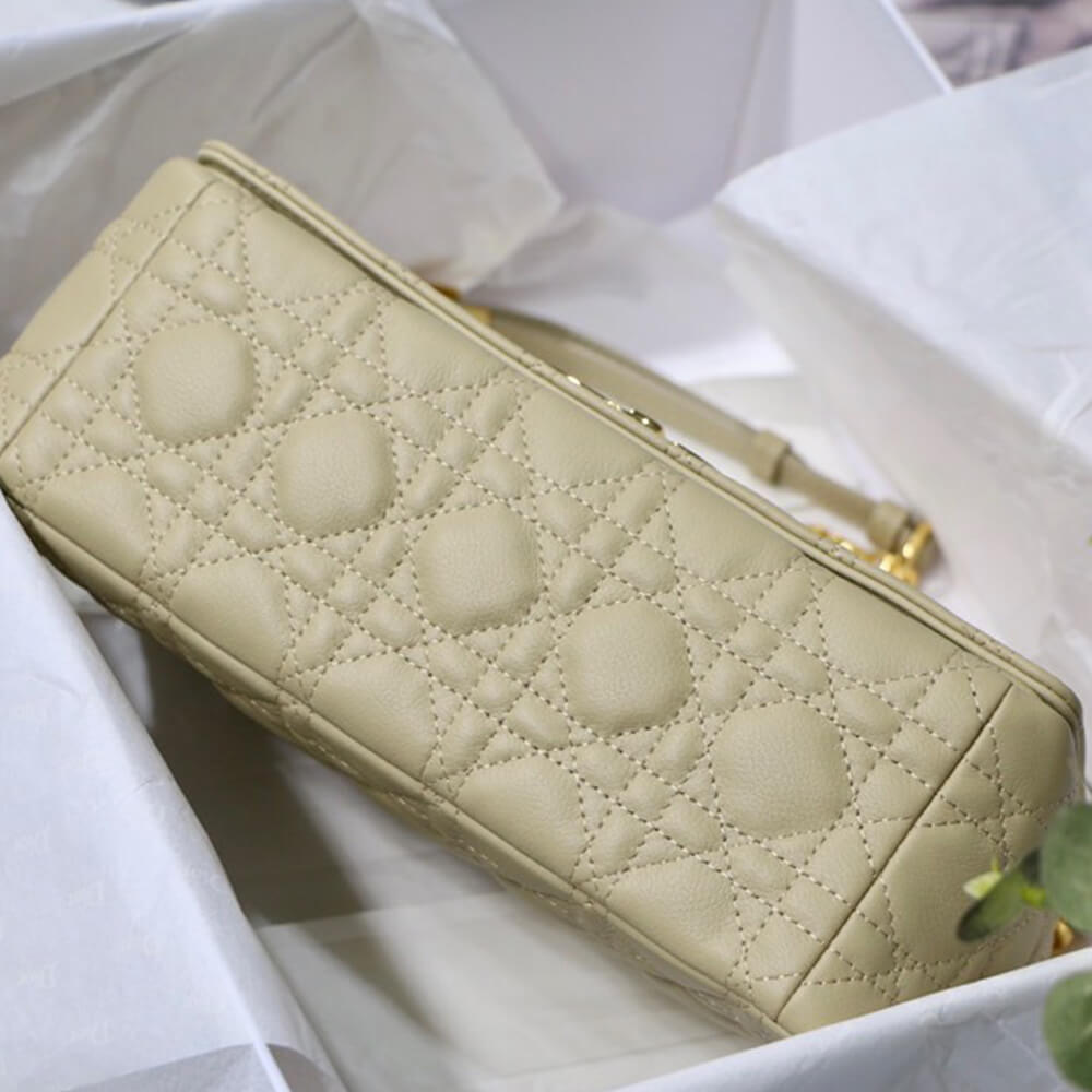 medium D*or caro bag