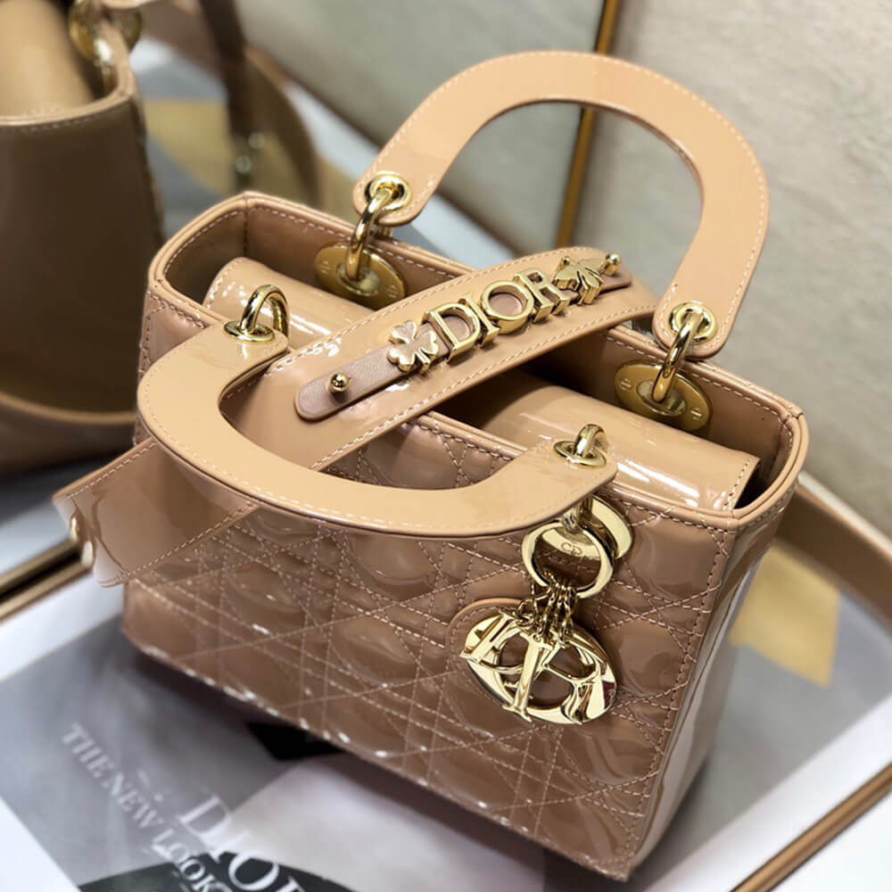 small lady D*or my abcD*or bag