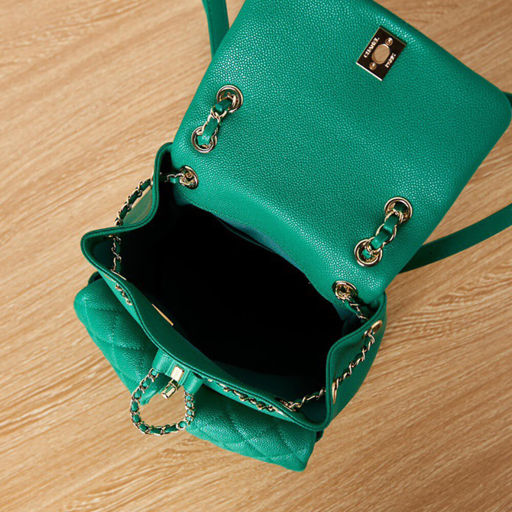 Ch*el backpack