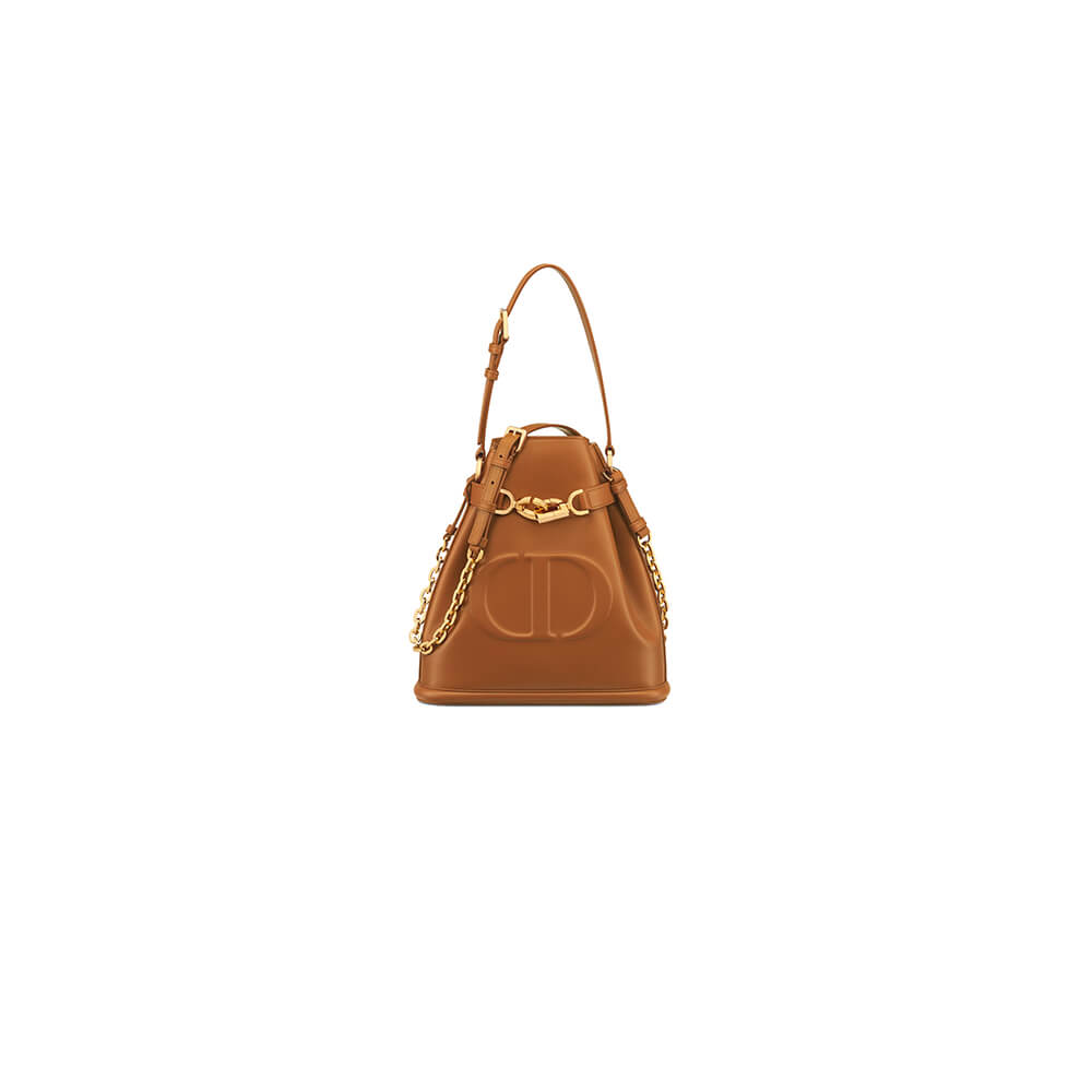 medium c’est D*or bag