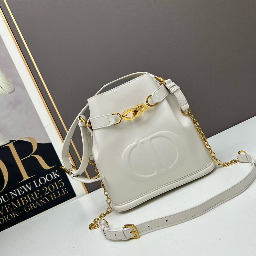 medium c’est D*or bag