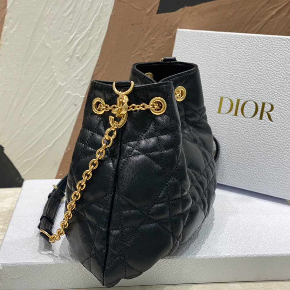 medium D*or ammi bag