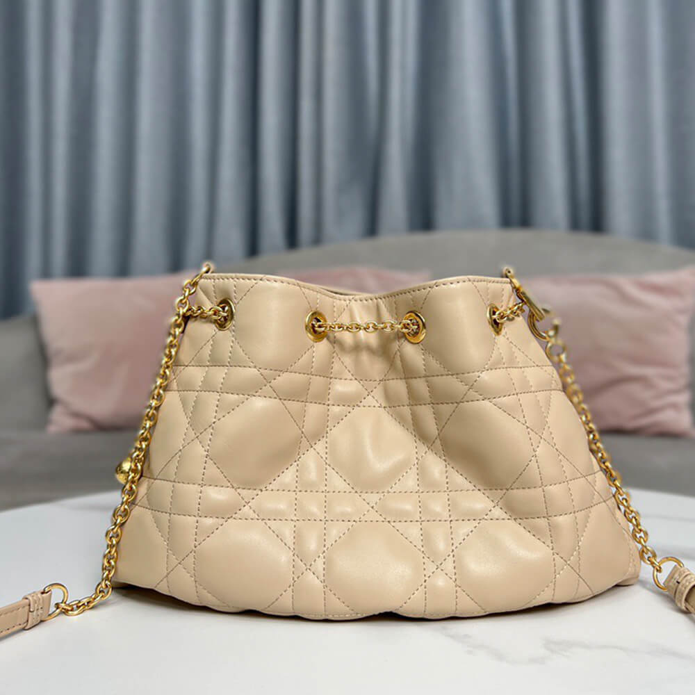 medium D*or ammi bag