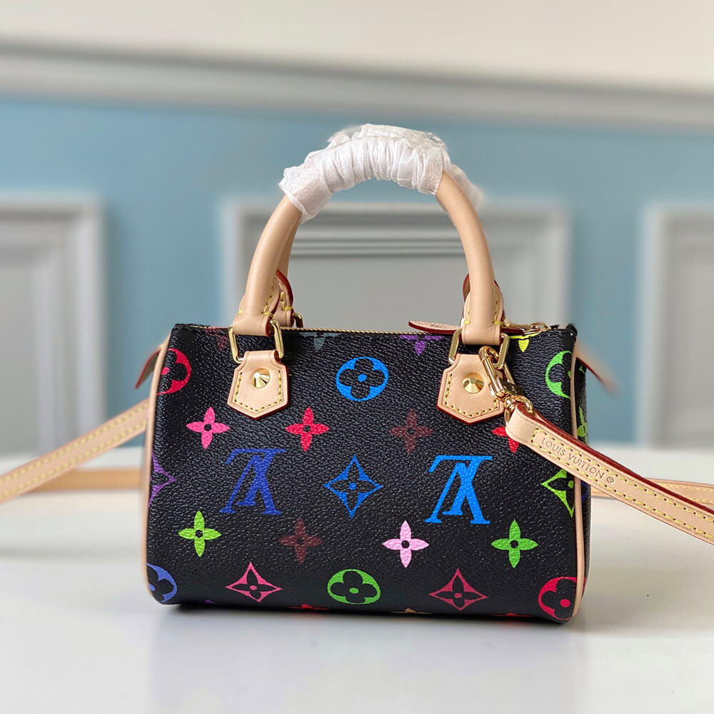 LV Multicolor Nano Speedy Bag