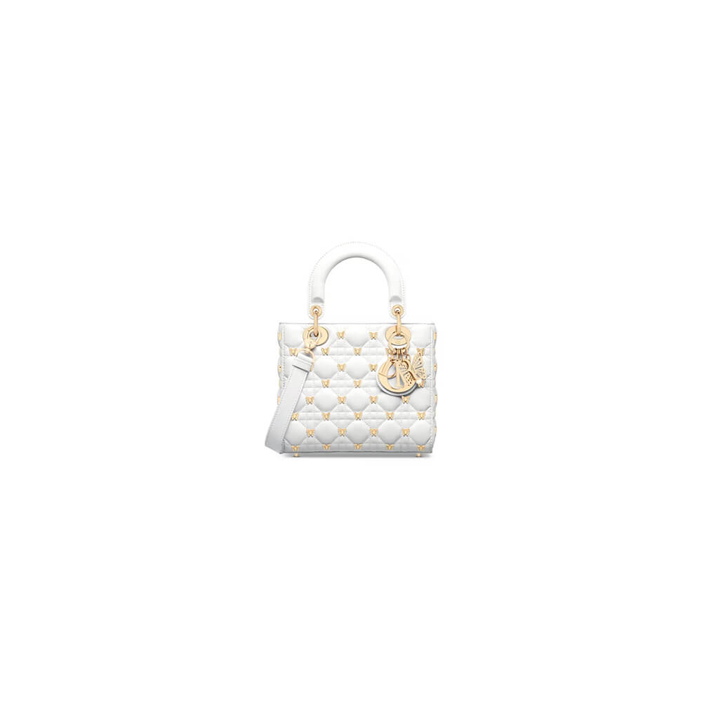 small lady D*or bag