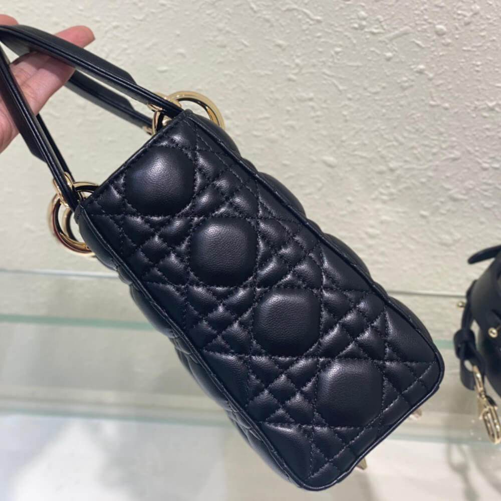small lady D*or my abcD*or bag