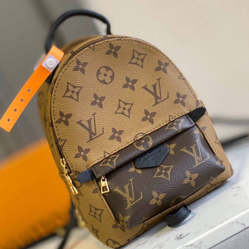 LV Palm Springs Mini(High-End Grade)