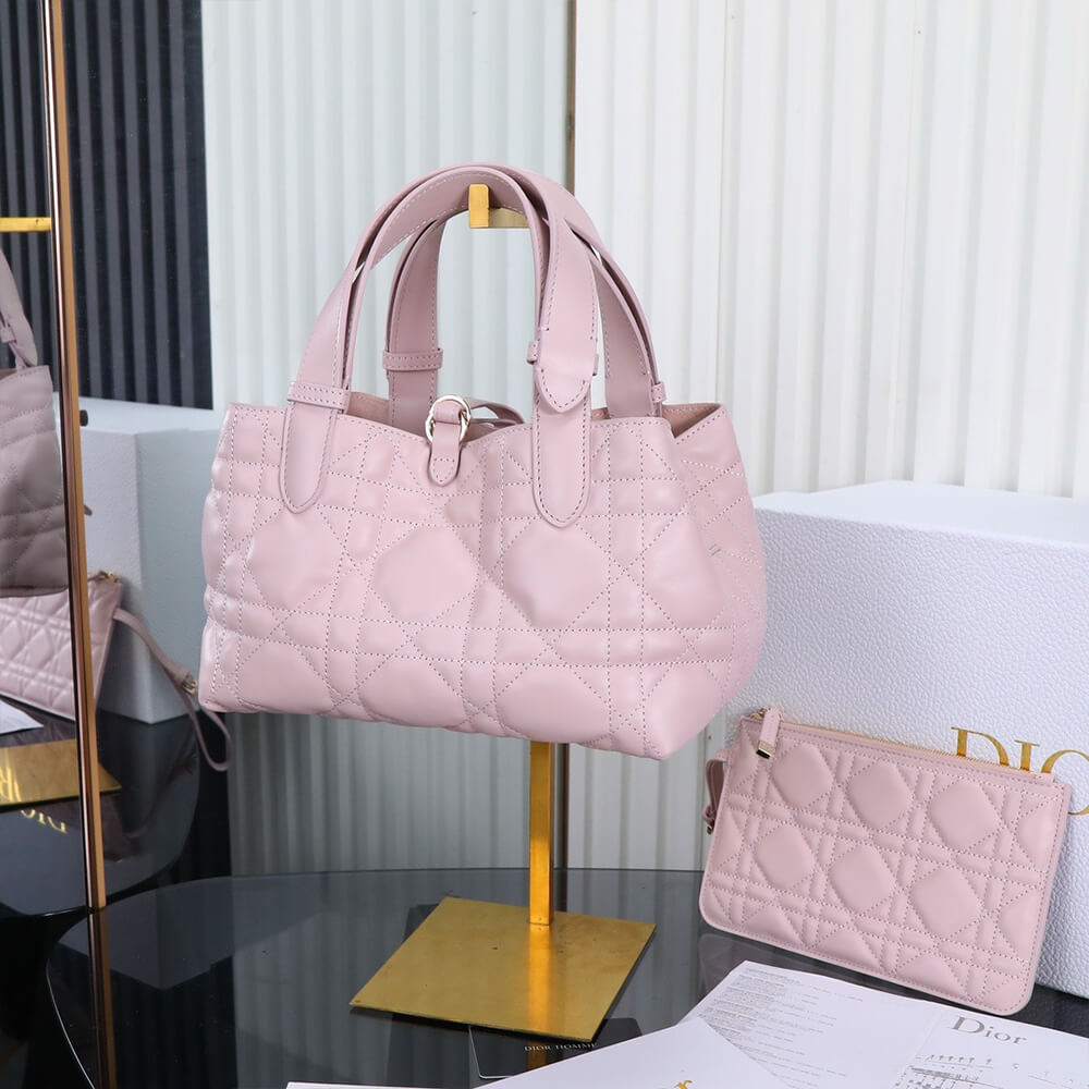 small D*or toujours bag(high-end grade)