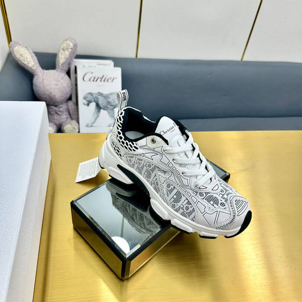 ch**an D*or vibe sneaker