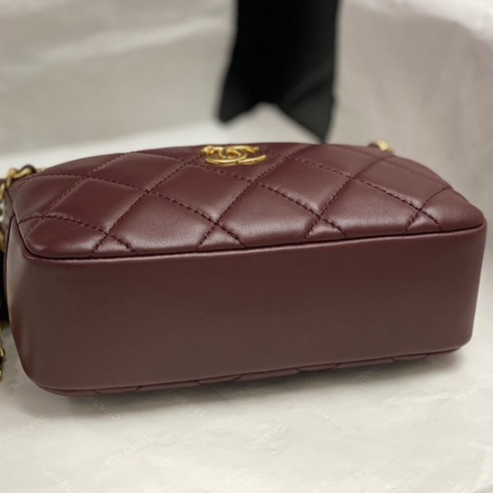 Ch*el mini camera case