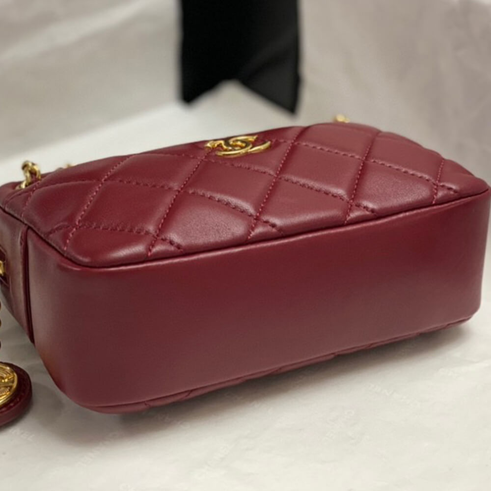 Ch*el mini camera case