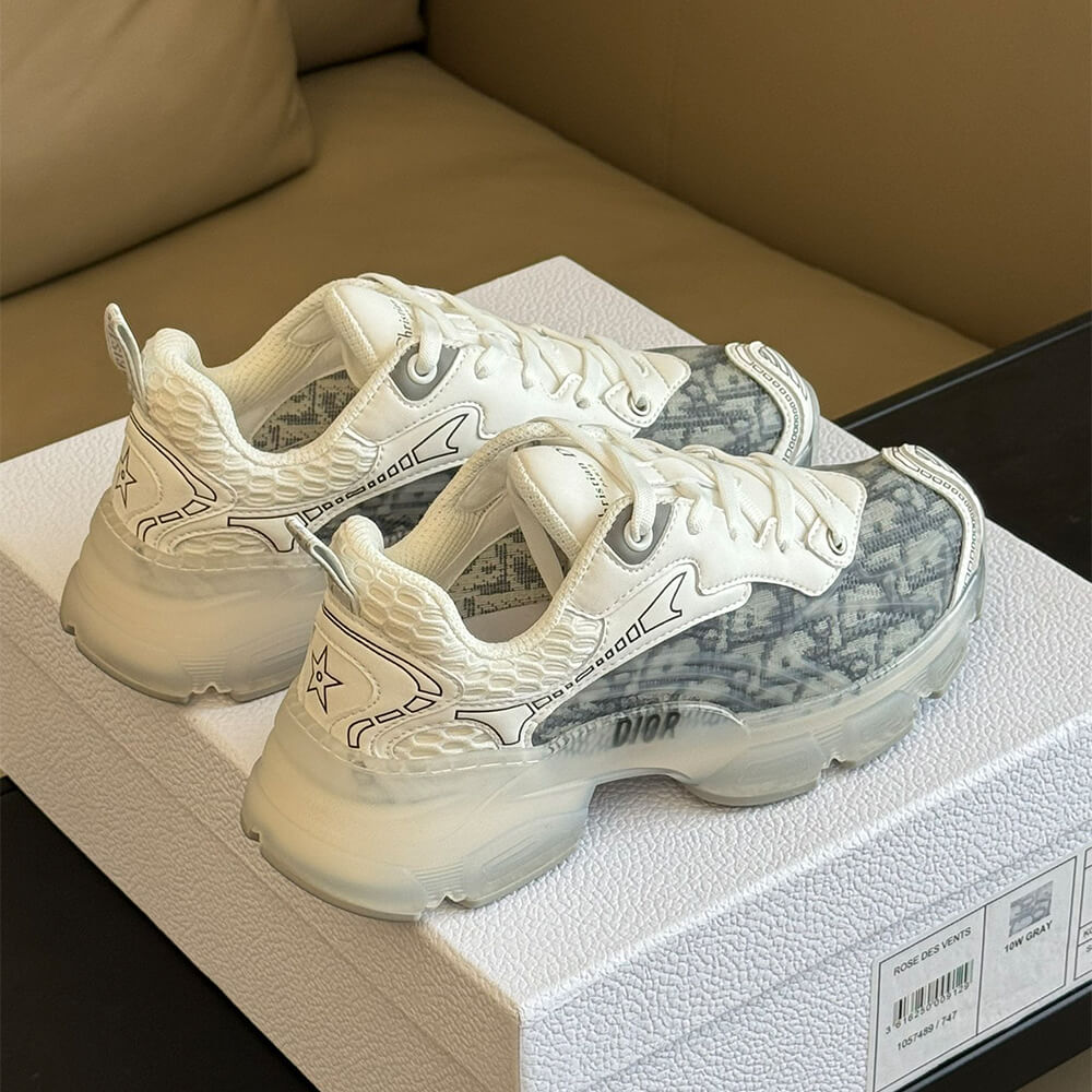 ch**an D*or vibe sneaker