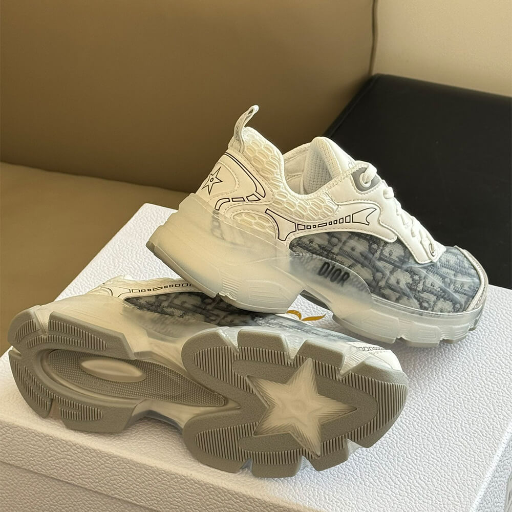 ch**an D*or vibe sneaker